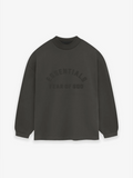 ESSENTIALS Heavy Jersey LS Tee